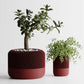 HomePod planter