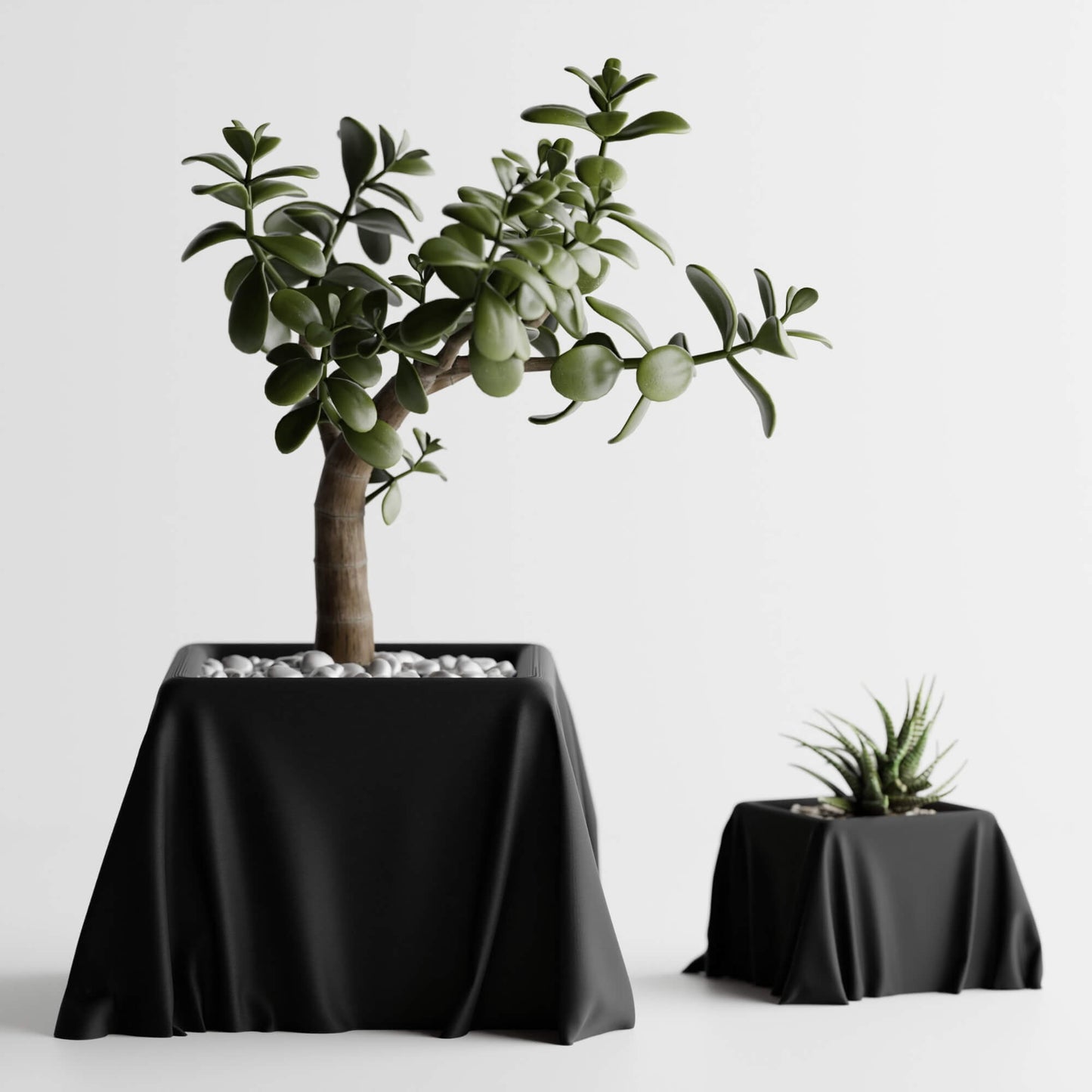 Drape Pot