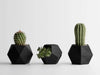 GEO TRIO Planter Set - black